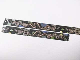 snake skeleton washi tape